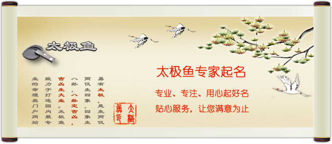 太極魚專家起名服務
